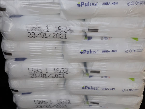 Vendita-di-acido-borico-modena