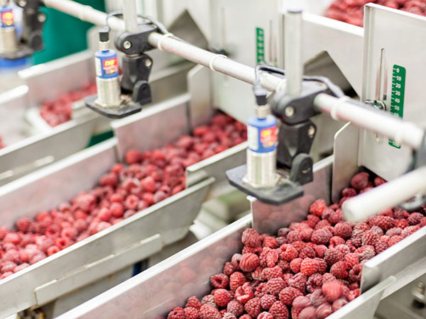 additivi-chimici-per-l-industria-alimentare